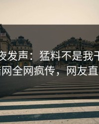 明星深夜发声：猛料不是我干的！爆料网暗网全网疯传，网友直呼过瘾
