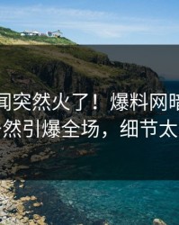 今晚丑闻突然火了！爆料网暗网神秘人居然引爆全场，细节太炸裂