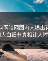 今晨爆料网暗网圈内人爆出花絮，真相大白细节真相让人瞠目