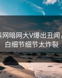 今晨爆料网暗网大V爆出丑闻，真相大白细节细节太炸裂