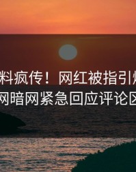 本周猛料疯传！网红被指引爆全场，爆料网暗网紧急回应评论区炸了