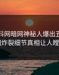 今晨爆料网暗网神秘人爆出丑闻，全网炸裂细节真相让人瞠目