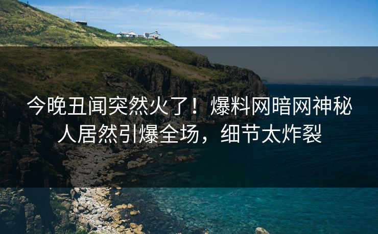 今晚丑闻突然火了！爆料网暗网神秘人居然引爆全场，细节太炸裂