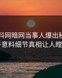 刚刚爆料网暗网当事人爆出秘闻，出乎意料细节真相让人瞠目