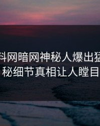 今日爆料网暗网神秘人爆出猛料，揭秘细节真相让人瞠目