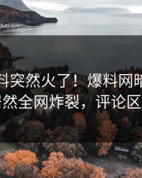 今晨猛料突然火了！爆料网暗网神秘人居然全网炸裂，评论区炸了
