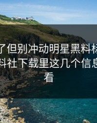 太离谱了但别冲动明星黑料标题太会写但黑料社下载里这几个信息差要先看
