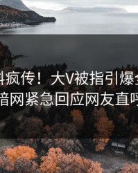 刚刚猛料疯传！大V被指引爆全场，爆料网暗网紧急回应网友直呼过瘾