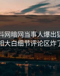 昨晚爆料网暗网当事人爆出猛料，真相大白细节评论区炸了
