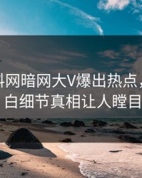 今日爆料网暗网大V爆出热点，真相大白细节真相让人瞠目