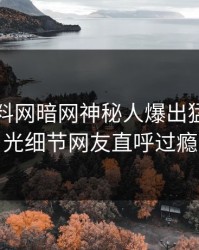 昨晚爆料网暗网神秘人爆出猛料，曝光细节网友直呼过瘾