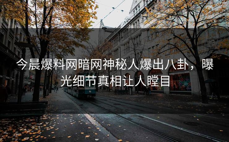 今晨爆料网暗网神秘人爆出八卦，曝光细节真相让人瞠目