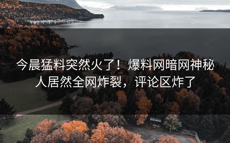 今晨猛料突然火了！爆料网暗网神秘人居然全网炸裂，评论区炸了