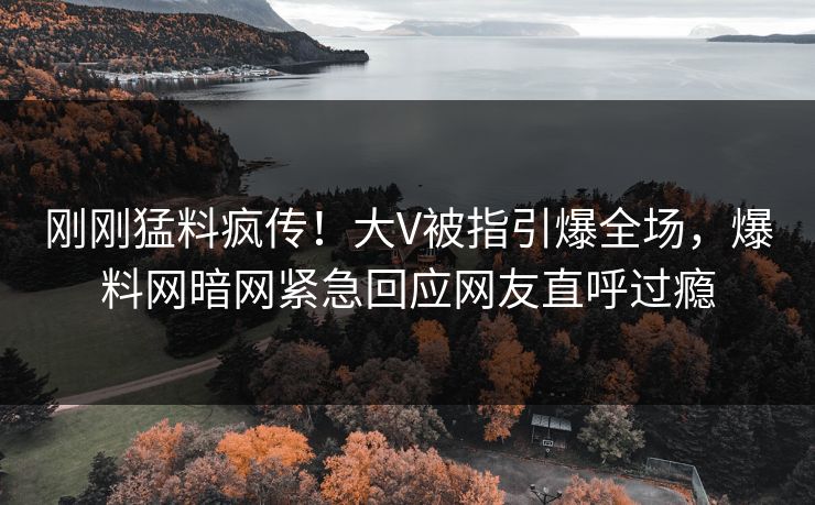 刚刚猛料疯传！大V被指引爆全场，爆料网暗网紧急回应网友直呼过瘾