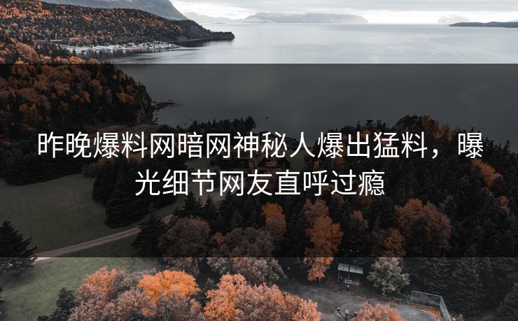 昨晚爆料网暗网神秘人爆出猛料，曝光细节网友直呼过瘾