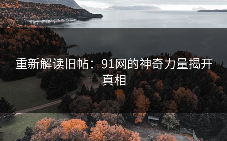 重新解读旧帖：91网的神奇力量揭开真相